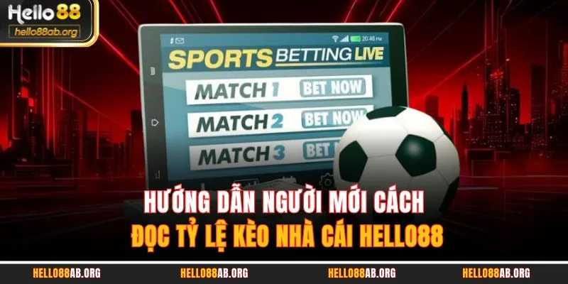 Hướng dẫn người mới cách đọc tỷ lệ kèo nhà cái HELLO88