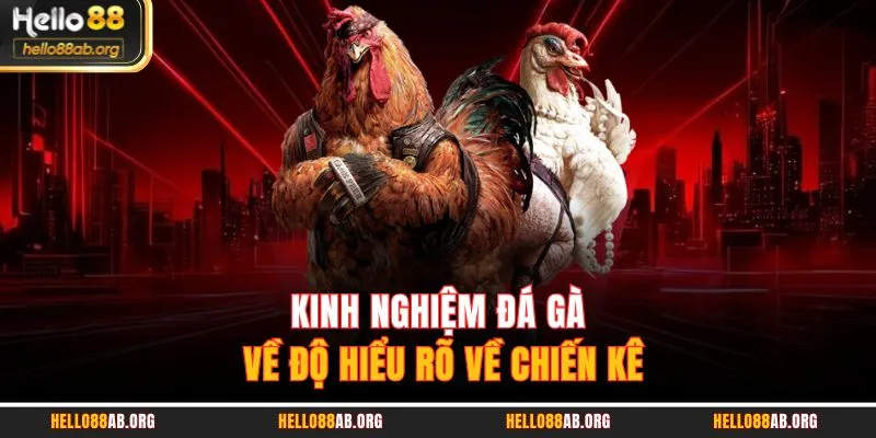 Kinh nghiệm đá gà về độ hiểu rõ về chiến kê