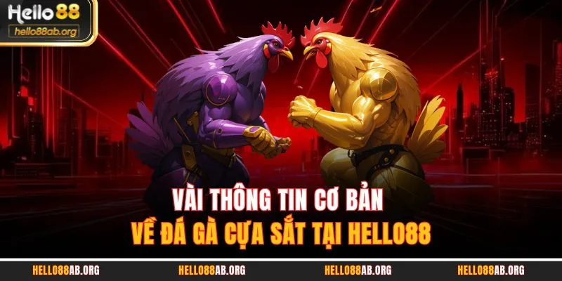 Vài thông tin cơ bản về đá gà cựa sắt tại HELLO88