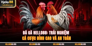 Đá gà HELLO88