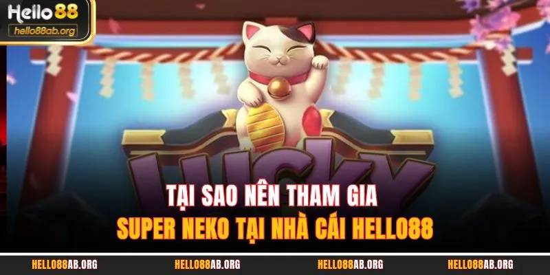 Tại sao nên tham gia Super Neko tại nhà cái HELLO88