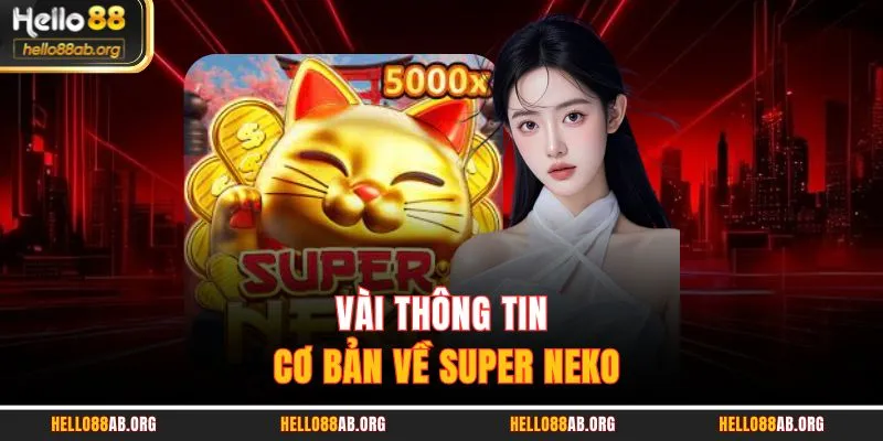 Vài thông tin cơ bản về Super Neko